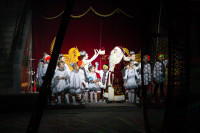 "Чудеса под Новый год" в Тульском цирке, Фото: 1
