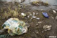 В реке Чернь погибла рыба, Фото: 34