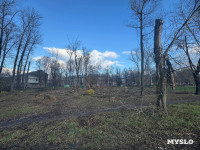 В сквере на улице Приупской вырубают тополя: в администрации рассказали, зачем, Фото: 3