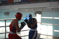 Первенство Тульской области по боксу, Фото: 30