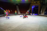 Цирковое шоу Вместе целая страна, Фото: 35