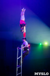 Премьера новогоднего шоу в Тульском цирке, Фото: 93