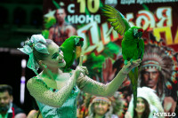 Новое шоу «Дикая планета» в Тульском цирке, Фото: 3