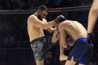 Битва за Тулу-2026, Фото: 256