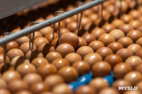 Тульская птицефабрика: забота о качестве начинается с заботы о сотрудниках, Фото: 16