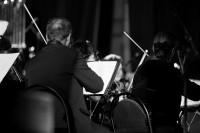 Би-2 с симфоническим оркестром в Туле, Фото: 57