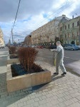 Липы на проспекте Ленина начали обрабатывать от вредителей, Фото: 2