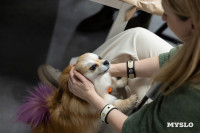 Как прошел книжный своп в «Октаве»: фоторепортаж, Фото: 67