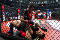 В «Тула-Арене» состоялись областные соревнования по ММА, Фото: 37