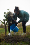 В Ясной Поляне посадили яблони, Фото: 70