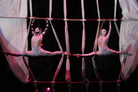 В Тульском цирке прошла премьера аква-шоу, Фото: 38