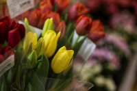 Леруа Мерлен Цветы к празднику, Фото: 49