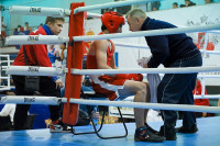 В Туле завершился межрегиональный турнир по боксу памяти Романа Жабарова, Фото: 12