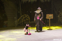 «Чудеса Новогодней Ёлки» ждут вас в Тульском цирке, Фото: 18