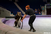 «В Тульском цирке прошла открытая репетиция программы «Цирк зажигает огни», Фото: 23