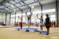 Спортивная гимнастика в Туле 3.12, Фото: 62