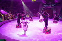 Шоу Гии Эрадзе «5 континентов» в Тульском цирке: феерия уже началась!, Фото: 43