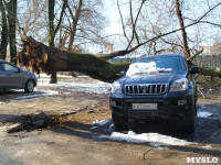 Дерево упало на машину на проспекте Ленина, Фото: 1