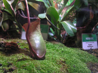 , Фото: 50