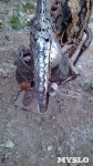 Железный хамелеон тульского умельца, Фото: 15