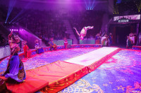 Шоу Гии Эрадзе «5 континентов» в Тульском цирке: феерия уже началась!, Фото: 14