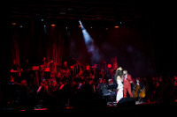 Би-2 с симфоническим оркестром в Туле, Фото: 36