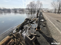 В Орлово Тульской области с подтопленного моста сошла вода, Фото: 9