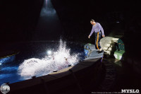 Цирк на воде «Остров сокровищ» в Туле: Здесь невозможное становится возможным, Фото: 111