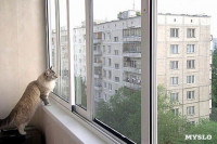 Ставим новые окна и обновляем балкон, Фото: 8