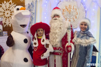 В Туле открылась резиденция Деда Мороза, Фото: 77