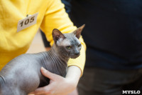 В Туле прошла выставка «Пряничные кошки» , Фото: 119