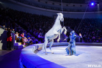 Туляков приглашают на новогоднее представление «Ёлка в цирке», Фото: 86
