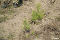 посадка леса в Одоевском лесничестве, Фото: 7