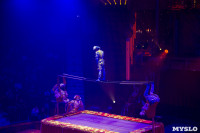 Премьера шоу Королевский цирк, Фото: 14