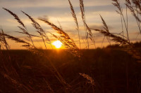 , Фото: 2