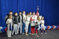 Открытый Чемпионат Тульской области по черлидингу, Фото: 50