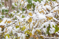 Первый снег в Туле, Фото: 2