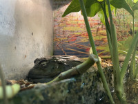 , Фото: 46