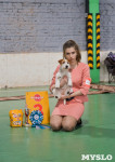 Выставка собак в Туле , Фото: 68