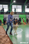 Выставка собак в Туле , Фото: 85