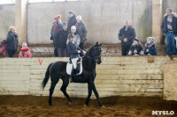 Открытый любительский турнир по конному спорту., Фото: 24