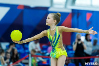 Тула провела крупный турнир по художественной гимнастике, Фото: 155