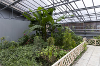  В тульской школе отремонтировали уникальную оранжерею с экзотическими растениями, Фото: 33