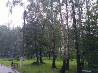 Комсомольский парк после шторма, Фото: 4