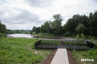 Почему обмелел пруд в Рогожинском парке Тулы?, Фото: 4