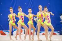 Соревнования по художественной гимнастике на призы благотворительного фонда «Земляки», Фото: 145