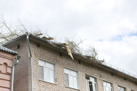 Дерево упало на ул. Софьи Перовской, Фото: 8