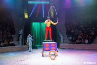 Искусство иллюзии и вера в чудо: в Тульском цирке стартовала программа «Загадка старой игрушки», Фото: 31