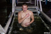В Центральном парке Тулы прошли крещенские купания, Фото: 147