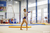 Спортивная гимнастика в Туле 3.12, Фото: 179
